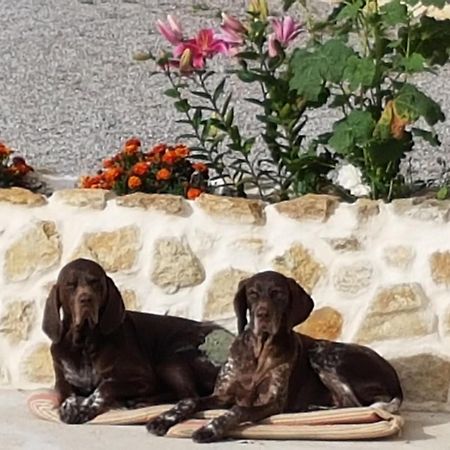 Le Clos De Tournes Echinghen Kültér fotó
